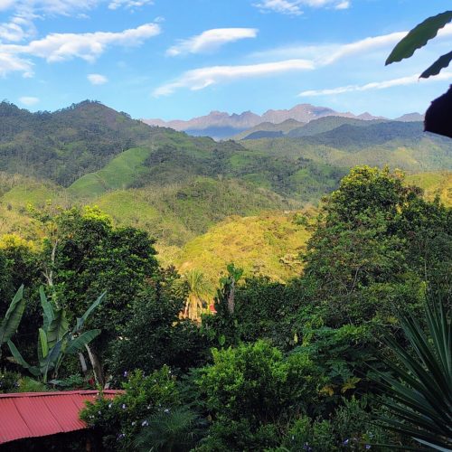 IMG_20250625_064854378_HDR_AE