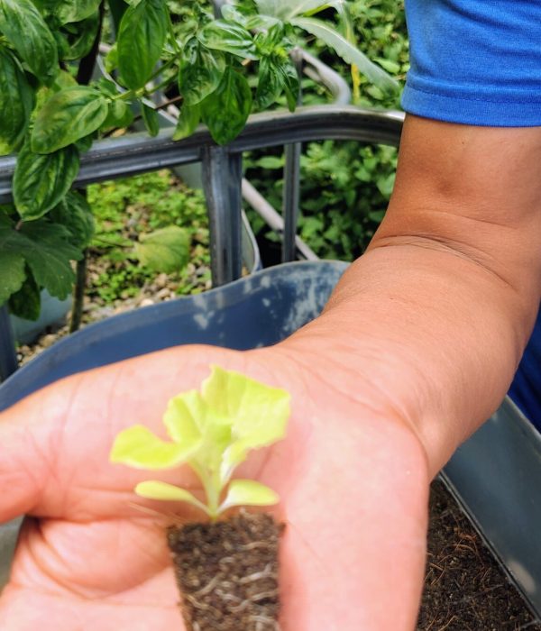 IMG_20250703_110831153_HDR_AE