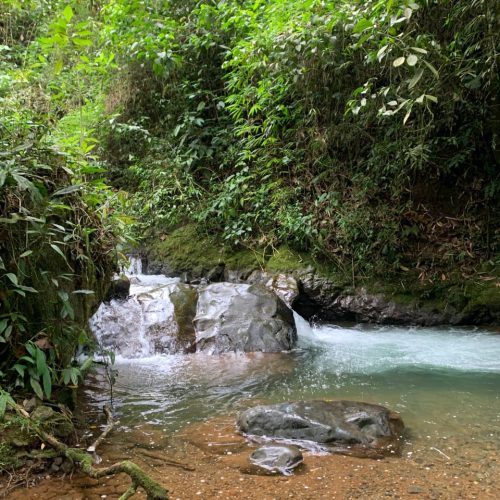 Imagen de WhatsApp 2025-11-10 a las 07.38.26_1dd98fbf - sebastian bustamante